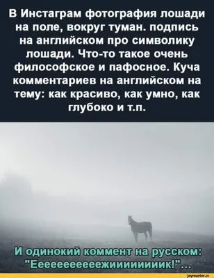 Фразы из Ежика в тумане - 📝 Афоризмо.ru