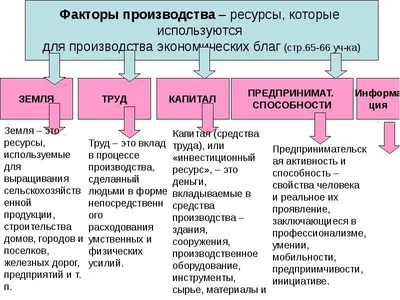 12. Экономика и её роль в жизни человека и общества