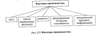 Факторы производства и факторные доходы | ЕГЭ/ОГЭ ПО ОБЩЕСТВОЗНАНИЮ |  Онлайн-школа New Level School | Онлайн-школа New Level School | Эффективная  подготовка к ЕГЭ и ОГЭ | Дзен