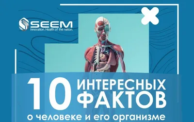 10 интересных фактов о человеке и его организме - СП ООО «Samarkand England  Eco-Medical»