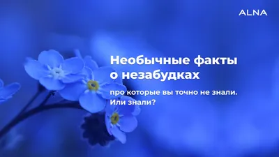 Мифы и факты про огнетушители. Это интересно! ВДПО.РФ