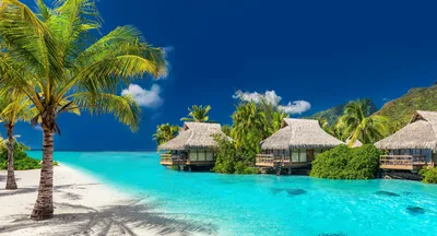 Fiji Tourism – Information, Facts, Advices in Travel Guide | Planet of  Hotels