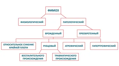 Фимоз головки полового члена: диагностика, лечение, операция в Донецке ДНР