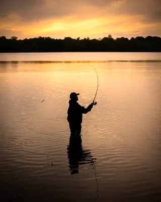 Saltwater Fishing - NYDEC