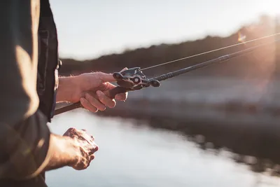 Fishing Near Chicago - Forest Preserves of Cook County