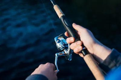 How to Cast a Fishing Rod: Ultimate Guide For Beginners – Daiwa Australia