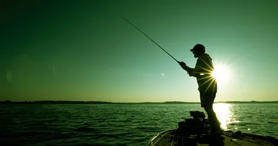 New Zealand Sport Fishing Council