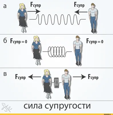 Физики шутят / физика :: спизжено :: наука / смешные картинки и другие  приколы: комиксы, гиф анимация, видео, лучший интеллектуальный юмор.