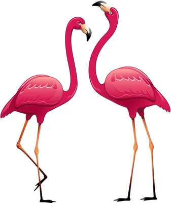 [61+] Фламинго картинки нарисованные обои