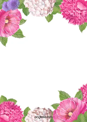 Нежный фон для сторис - цветы | Свадебные фоторамки, Свадебные карточки  рассадки, Свадебные картины