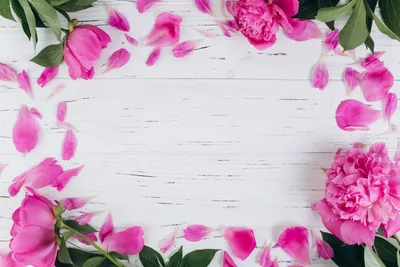 Фон весны Розовые цветы на белом фоне Стоковое Изображение - изображение  насчитывающей над, рамка: 180005125