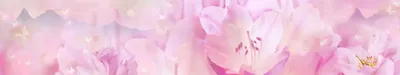 Нежный фон с цветами - 61 фото | Цветочные фоны, Свадебный фон, Розовые фоны