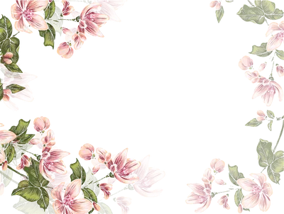 Фон для сториз, белый фон, цветы | Purple flower background, Purple flowers  wallpaper, Flower backgrounds