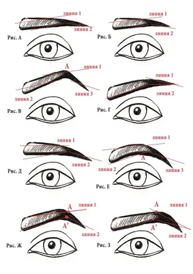 Типы и виды бровей: Как выбрать их форму