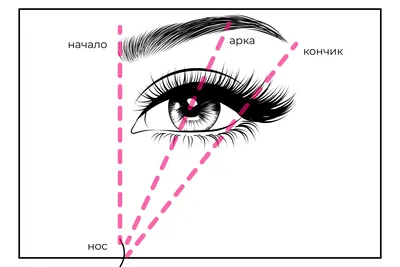 Брови картинки - 72 фото