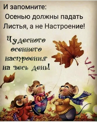 ▫43▫🍁Осенью должны падать Листья, а не Настроение! | Доброе утро,  Счастливые картинки, Жизнеутверждающие цитаты