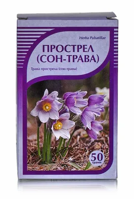 Прострел (сон-трава), трава 50гр. купить в Москве в одном из наших  магазинов или с бесплатной доставкой по Москве в интернет-магазине по  низкой цене. Рецепты, применение, отзывы.