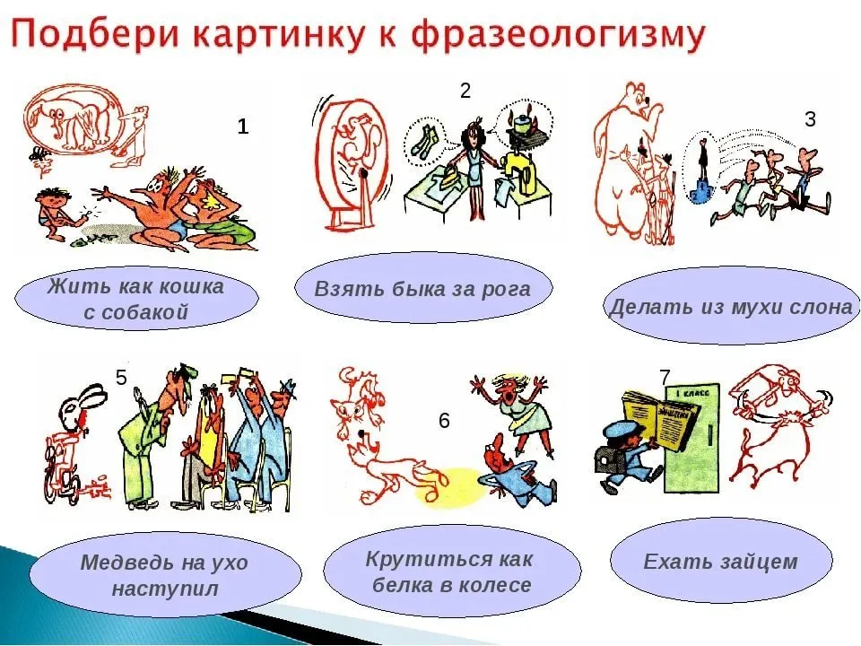 Фразеологизмы ирония. Фразеологизмы рисунки. Веселые фразеологизмы в картинках. Иллюстрация к фразеологизму. Рисунок весёлые фразеологизмы.