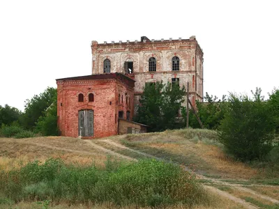 Валерия Гай Германика показала редкое фото с детьми - Вокруг ТВ.