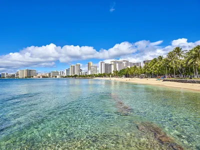 Гавайские острова откроются для туристов с 15 октября | ИА Красная Весна