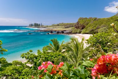 Картинки Гавайи США пляжа Океан Природа Тропики берег Бухта Облака