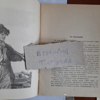 Кафе Гаврош на улице Пушкинская в Ростове-на-Дону: фото, отзывы, адрес, цены