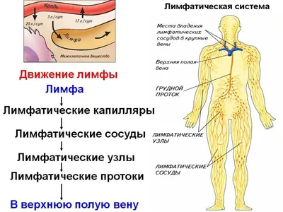 Лечение тянущей боли в колене - Свобода Движения