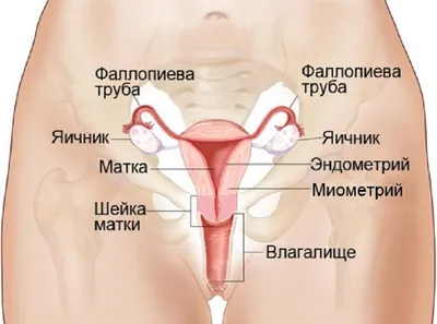 Лечение тянущей боли в колене - Свобода Движения