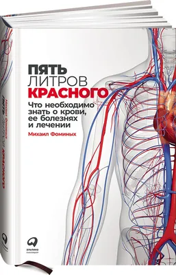 Рак полового члена: симптомы, причины, стадии, диагностика, методы лечения  и прогноз онкологии пениса