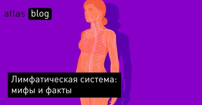 Меланома кожи: как выглядит, симптомы, причины, диагностика, лечение