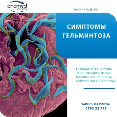 AnnaMama - АНАЛИЗЫ НА ГЕЛЬМИНТЫ. ❓Какие анализы есть для выявления  гельминтов? 👉🏻С учетом того, что яйца гельминтов в кал выделяются не  постоянно, а в зависимости от стадии развития паразита, достоверным  является троекратный