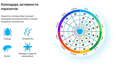 Гельминты — гости, которым мы не рады | MedAdvisor