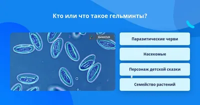 Гельминты в рыбе: изображения разных размеров на странице | Гельминты в  рыбе Фото №739990 скачать