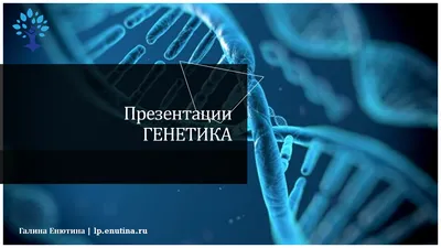 Формирование естественно-научной грамотности обучающихся при изучении  раздела «Генетика» на уроках биологии