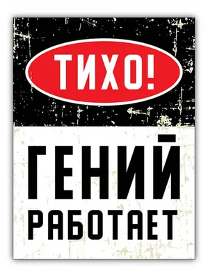 Декоративная табличка Внимание! Работает гений!, 25х15 см, 25 см, 15 см -  купить в интернет-магазине OZON по выгодной цене (818853955)