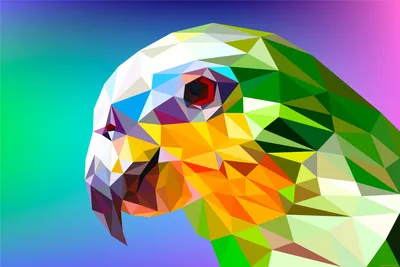 геометрические фигуры разноцветные треугольники, квадраты круги на белом  фоне Stock Illustration | Adobe Stock