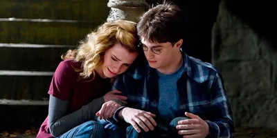 Конструктор Harry Potter. Гарри Поттер и Гермиона Грейнджер 1673 дет. 6057  купить по оптовой цене | Хит Игрушка.