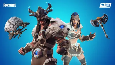 What BR skins would you really like to see as heroes in STW with their own  storyline, etc.? Personally, I want the Primal Hunters set in a winter  seasonal storyline! : r/FORTnITE