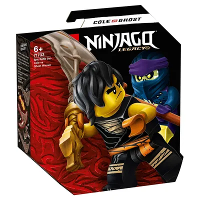 Конструктор Огненный дракон ЭВО Кая 71762 LEGO Ninjago купить в  Новосибирске - интернет магазин Rich Family