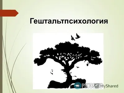 Гештальтпсихология. Принципы гештальтизма - online presentation