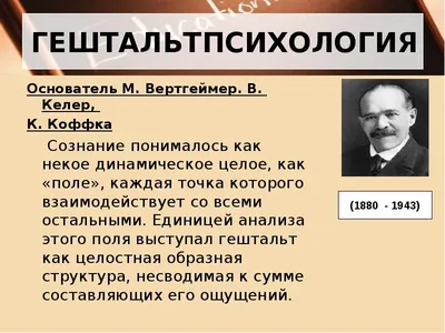 Гештальт-психология личности - купить с доставкой по выгодным ценам в  интернет-магазине OZON (175572405)