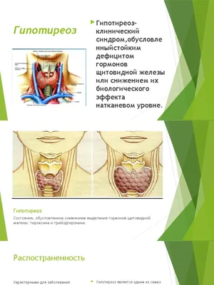 Лабораторная служба Хеликс - Гипотиреоз—что это такое? Клинический синдром,  развивающийся вследствие стойкого дефицита гормонов щитовидной железы в  организме. ⠀ Поговорим про симптомы и диагностику? ⠀ 👉🏻Отеки,  необъяснимый набор веса ...