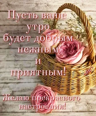 💗☕️🌷Доброе Утро! Хорошего Дня! Заряд Позитива на Весь День!💞 - YouTube