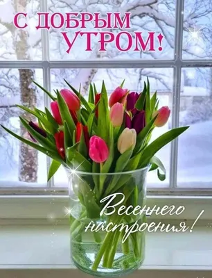 Доброе утро дорогие ютазинцы! Позитивной пятницы! Хорошего настроения