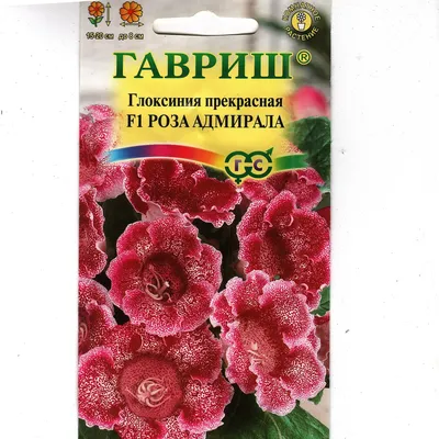 Глоксиния Императрица Фиолетовая, семена – купить в питомнике по цене 162 ₽  с доставкой по всей России.