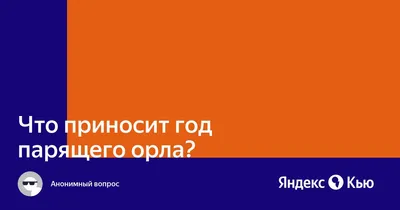 Свинья или парящий орел: чего ждать от символов Нового года-2019 - KP.RU