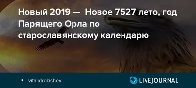 А был ли год Парящего Орла? | Исследователь истории | Дзен