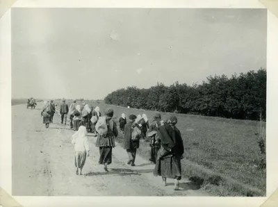 ПАСЕ признала Голодомор 1932-1933 геноцидом украинского народа