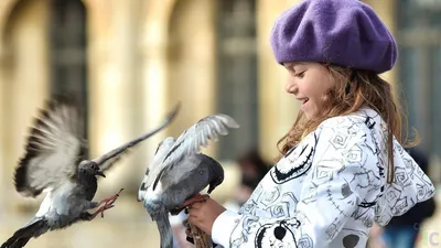 дети и голуби | А дети в нашем городе очень добрые....вчера … | Flickr