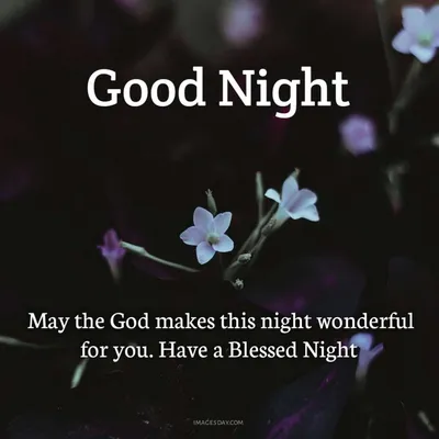 Good Night good Night good Night good Night good Night good Night good  Night good Night Images • riya mondal (@1406375373) on ShareChat